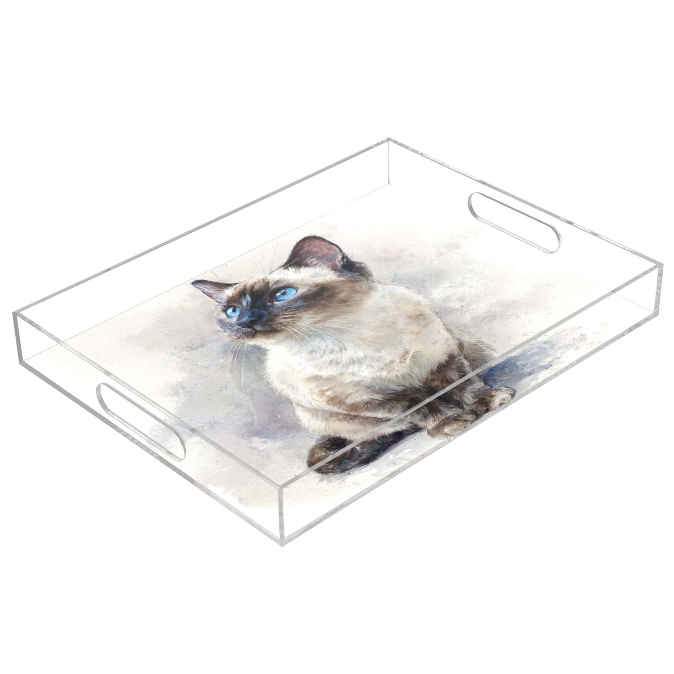 Translucent Tray Acrylic Tray 15.7*11.8*1.9 Inch Transparent Tray Food Tray Tea Cup Tray ...