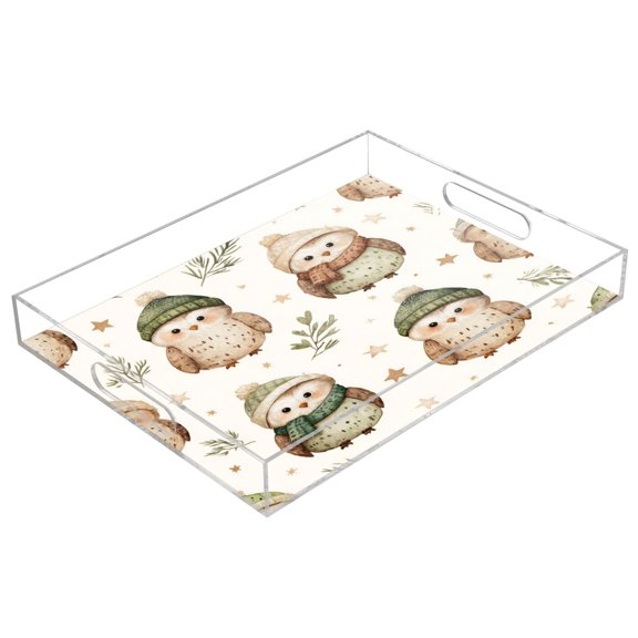 Acrylic Tray 15.7*11.8*1.9 Inch Transparent Tray Food Tray Tea Cup Tray Serving Trays Cosmetics Storage Kitchen Table Bathroom Sundry Storage Cute Watercolor Owl Pattern