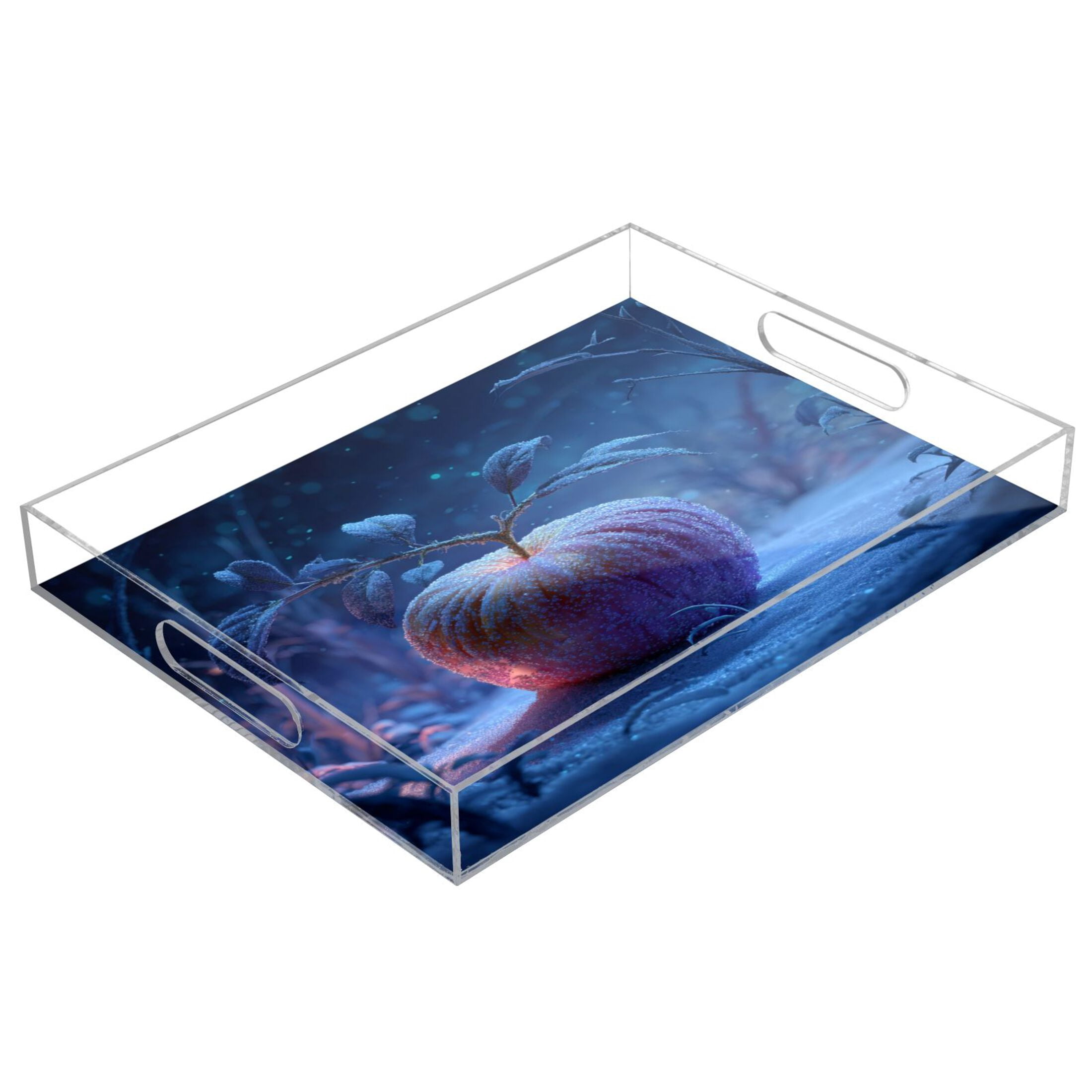 Translucent Tray Acrylic Tray 15.7*11.8*1.9 Inch Transparent Tray Food Tray Tea Cup Tray ...