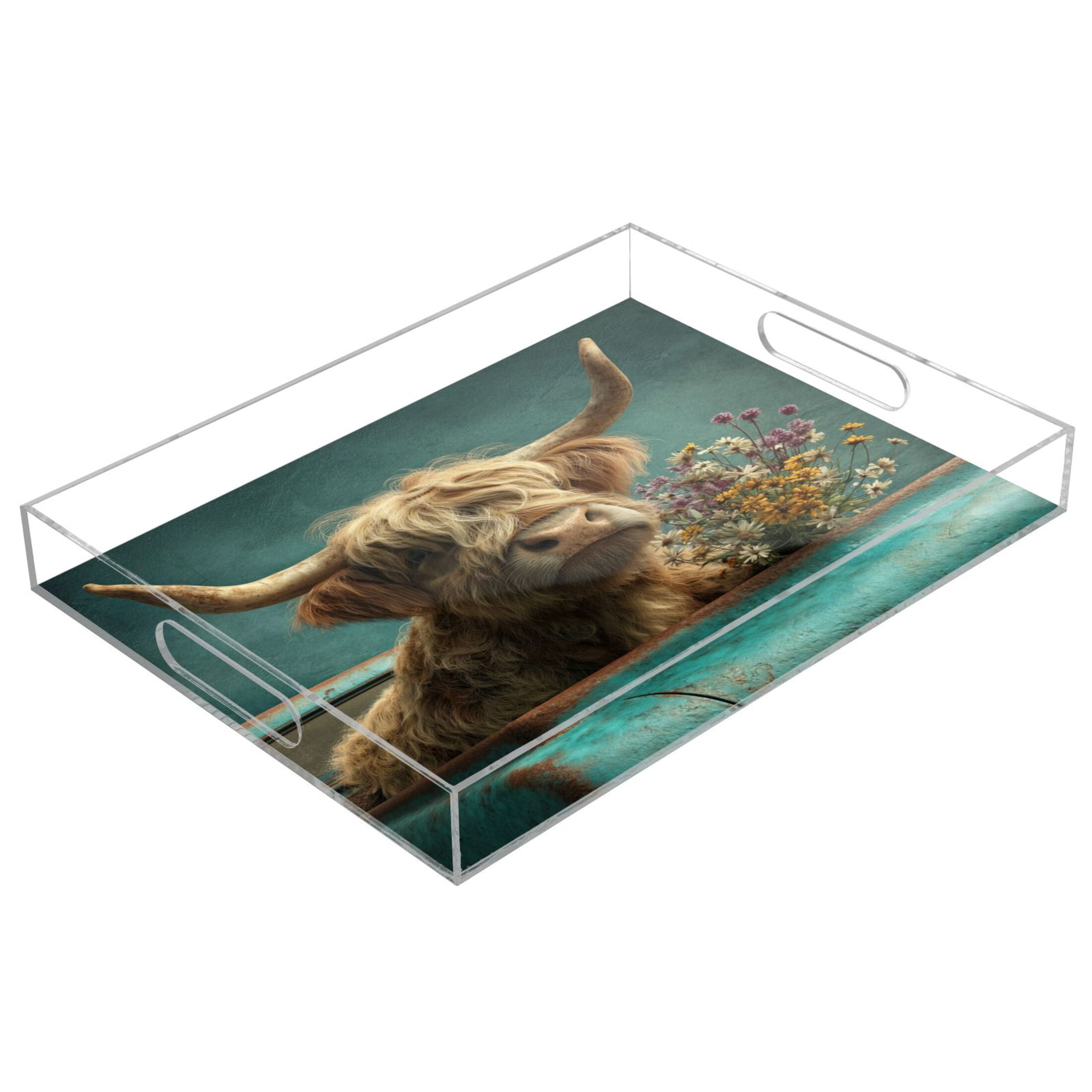 Translucent Tray Acrylic Tray 15.7*11.8*1.9 Inch Transparent Tray Food Tray Tea Cup Tray ...