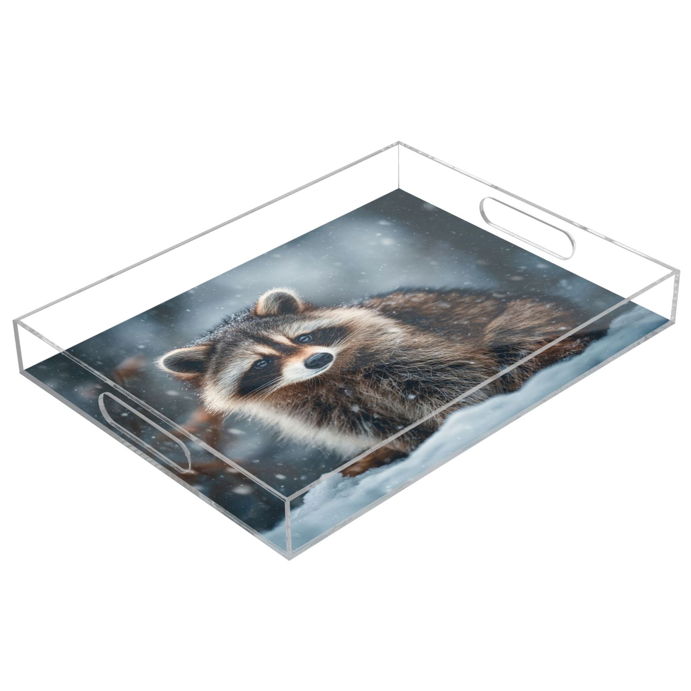 Translucent Tray Acrylic Tray 15.7*11.8*1.9 Inch Transparent Tray Food Tray Tea Cup Tray ...
