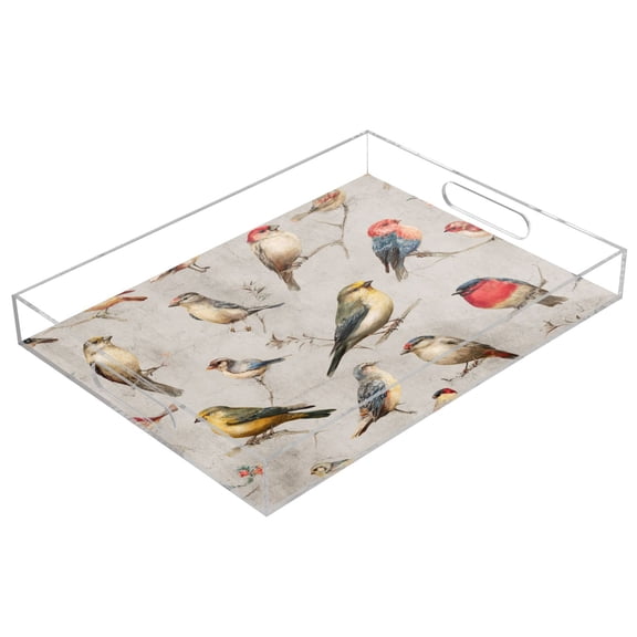 Acrylic Tray Clear Serving Tray Rectangle Decorative Tray with Cut Handle Birds Pattern
