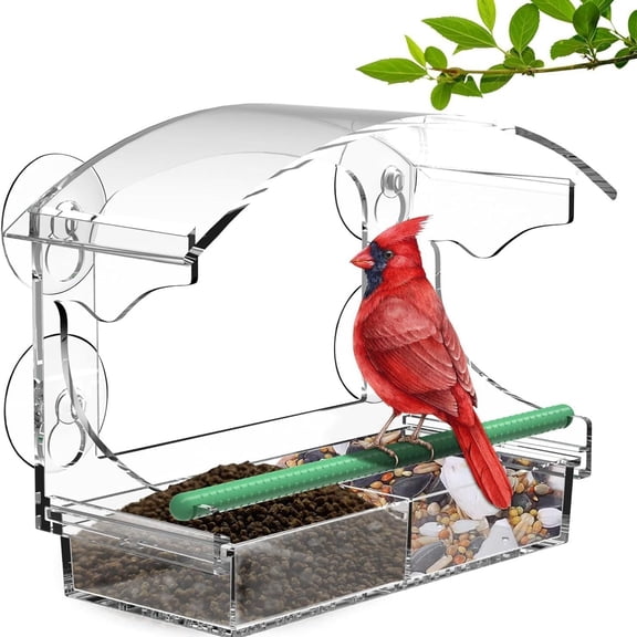 Acrylic Window Bird Feeder – 10x6 Inch Viewing Box with 4 Strong Suction Cups, 3 Compartment Trays, Clear Design for Indoor Bird Watching