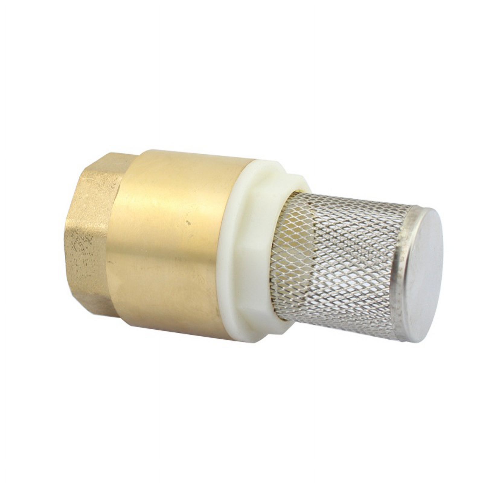 AcserGery Check valve nonreturn valve nonreturn valve pump (1 inch