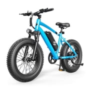 Actbest 20"x4.0" Electric Fat Tire Bike for Adults, 500W Motor 20 MPH, 48V 10.4Ah Battery, 7 Speed, E-Mountain Bike for Man Teen