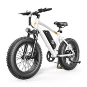 Actbest 20"x4.0" Electric Fat Tire Bike for Adults, 500W Motor 20 MPH, 48V 10.4Ah Battery, 7 Speed, E-Mountain Bike for Man Teen