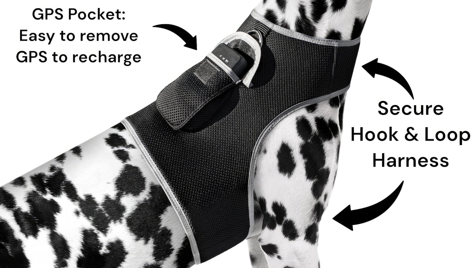 Action Activated Collar Mounted Cell Phone GPS Pet Tracker Waterproof Size:S