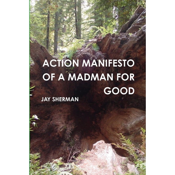 Action Manifesto of a Madman for Good, (Paperback)