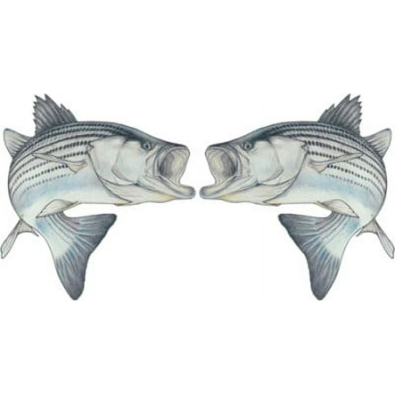 Action Striper Decal Twin Pack