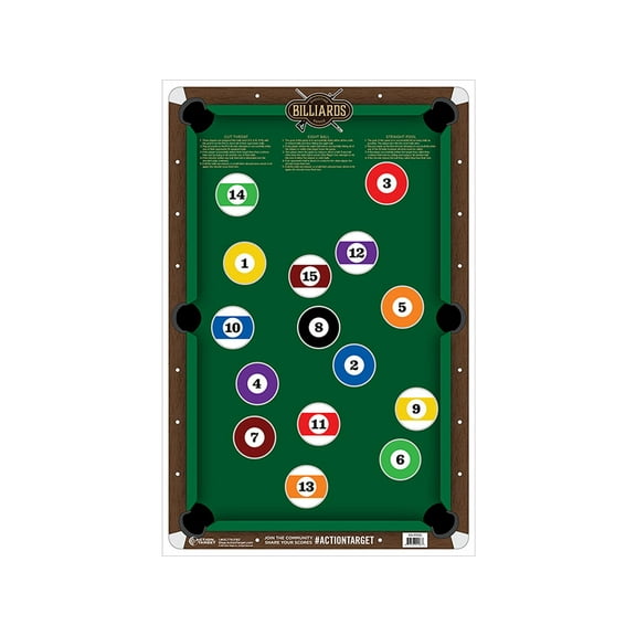 Action Target Action Billiards Hanging Paper 23 X 35 Billiards