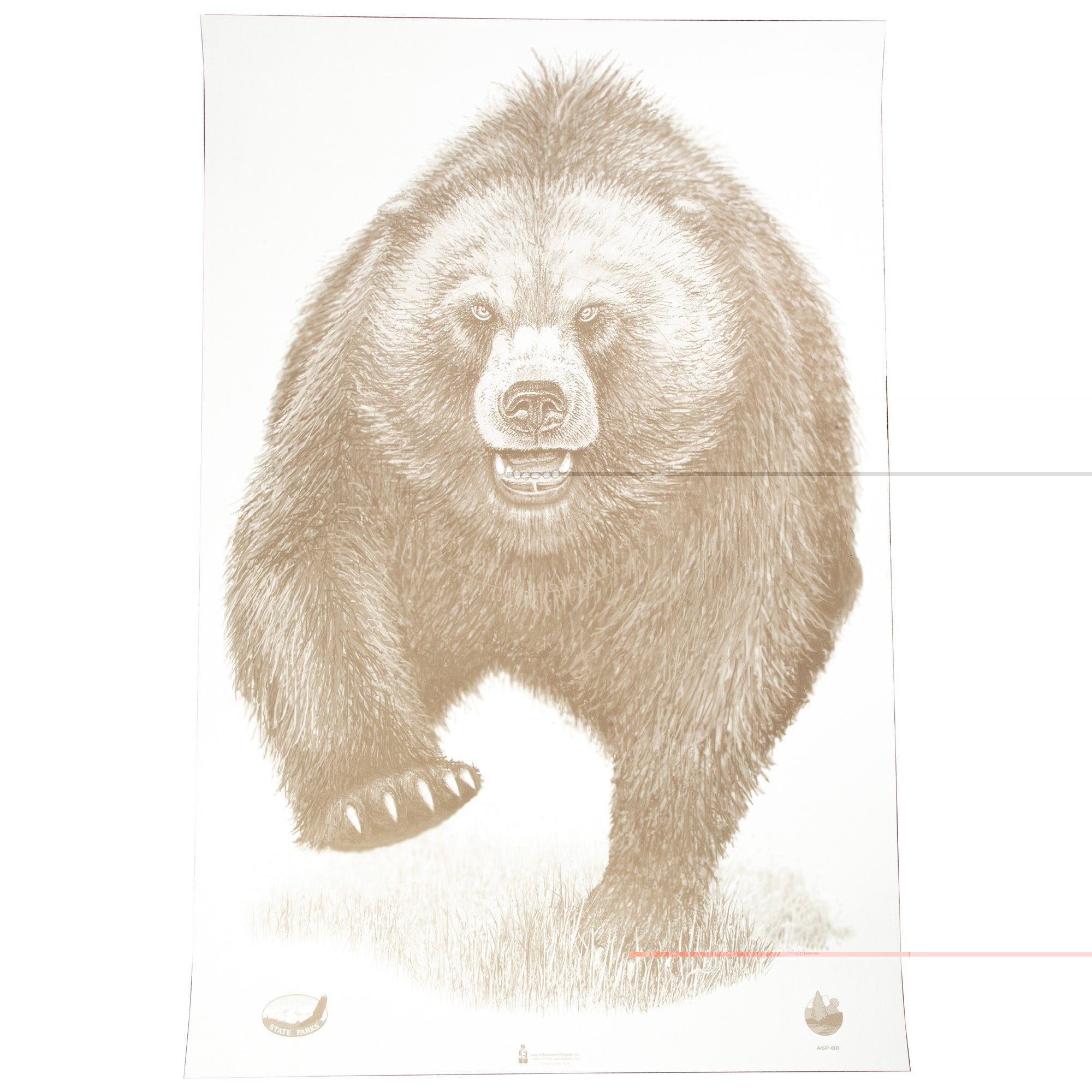 Action Target Alaska State Parks Bear Target 23x35 100 Pack ASP-BB-100