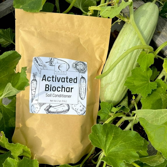 Activated Biochar