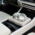 thumbnail image 1 of Activated Charcoal Odor Absorber for Car, Realistic Decorative Ornament That Eliminates Odors, Compact Air Purifying Bag for Vehicle Interior, 1 of 6
