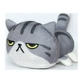 Activated Charcoal Odor Eliminating Air Purifying Plush Cat Doll Toy