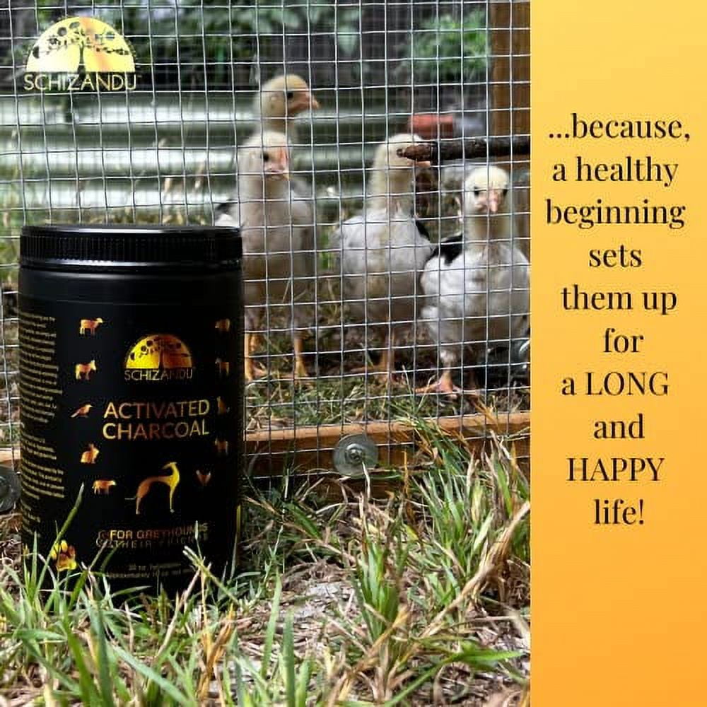 Activated Charcoal Powder for Dogs and All Pets, Livestock. Organic