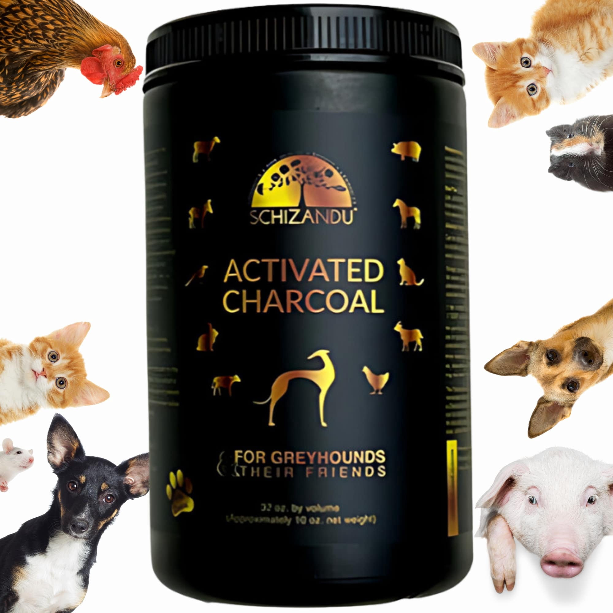 Activated Charcoal For Dogs Walmart