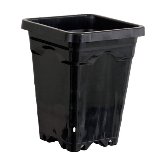 Active Aqua 5"x5" Square Black Pot 7" Tall, 100 per case