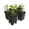 thumbnail image 1 of Active Aqua GFOE3 Flow 2.0 6 Pot 5-Gallon Hydroponic Grow Flow Expansion Kit, 1 of 4