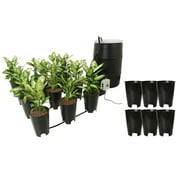 https://i5.walmartimages.com/seo/Active-Aqua-Grow-Flow-Ebb-Gro-12-Site-Hydroponic-System-6-Expansion-Pots_f3cc6b1d-a54f-40a0-af91-86a8798c7013_1.477f299f531901979b0b73540ac64c69.jpeg?odnWidth=180&odnHeight=180&odnBg=ffffff