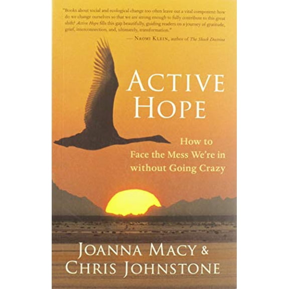 Pre-Owned Active Hope: How to Face the Mess We're in Without Going Crazy (Paperback) 1577319729 9781577319726
