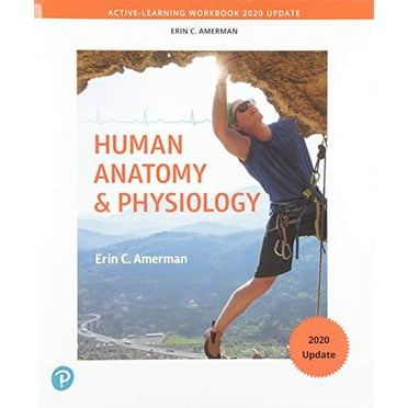 Pre-Owned Active-Learning Workbook for Human Anatomy & Physiology, Updated Edition