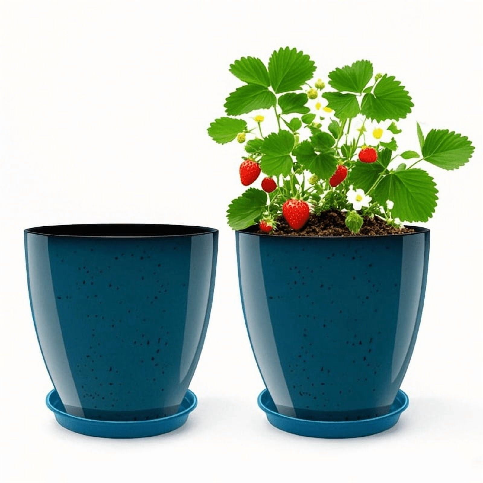 Beautiful view of Eco Friendly Succulent Planters For Apartments