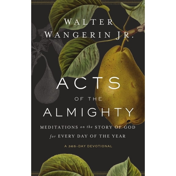 Acts of the Almighty: Meditations on the Story of God for Every Day of the Year, (Paperback)