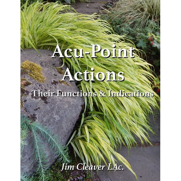Acu-Point Actions: Their Functions and Indications (Paperback) by Jim Cleaver Lac