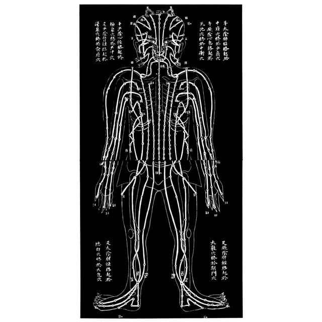 Acupuncture Chart. /Nchinese Acupuncture Chart. Poster Print by (18 x