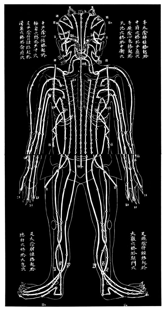 Acupuncture Chart. /Nchinese Acupuncture Chart. Poster Print by (24 x ...