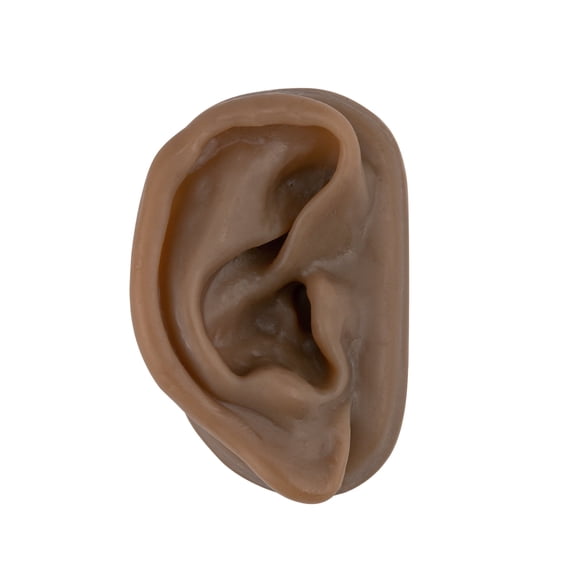 Acupuncture Ear Model, Right Artificial Ear Replica, Black