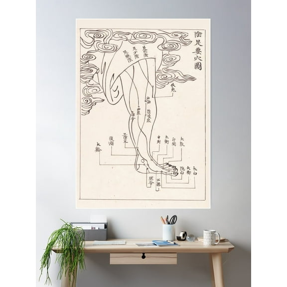 Acupuncture Points And Meridians-The Foot Poster Wall Art, Modern Wall Decor For Living Room Bedroom, 24x36 UNFRAMED