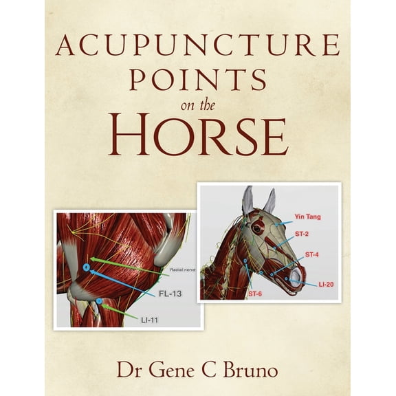 Acupuncture Points on the Horse, (Paperback)
