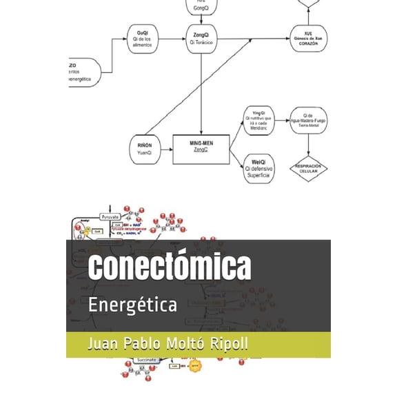 Acupuntura Cientfica: Conectmica: Energtica (Paperback)