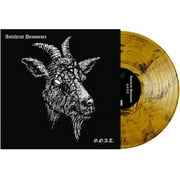 Acxdc - G.O.A.T. Orange & Black Marbled Vinyl - Music & Performance