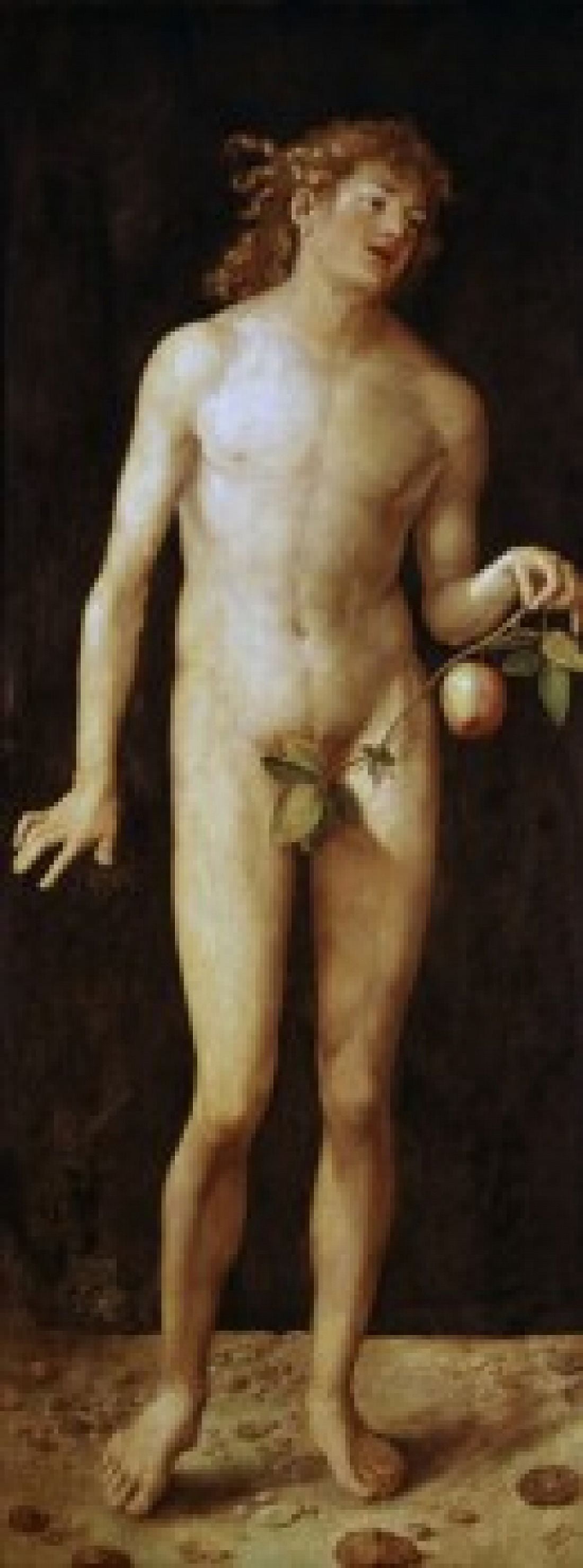 Adam 1507 Albrecht Durer (1471-1528 German) Oil On Wood Panel Museo del Prado Madrid Spain Canvas Art - Albrecht Durer (18 x 24)