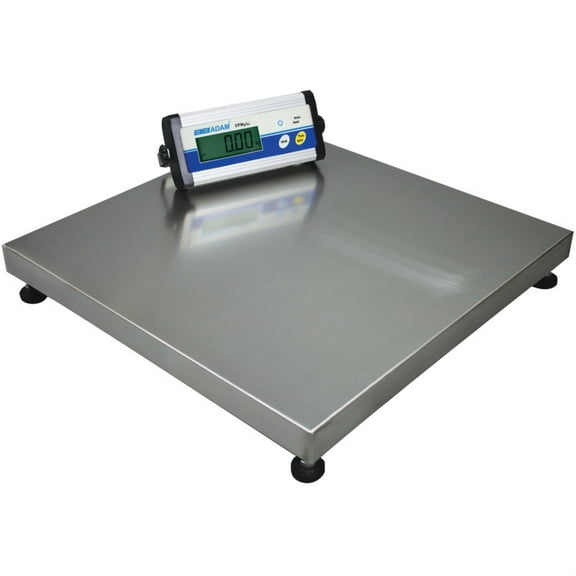 CPWplus Bench and Floor Scales