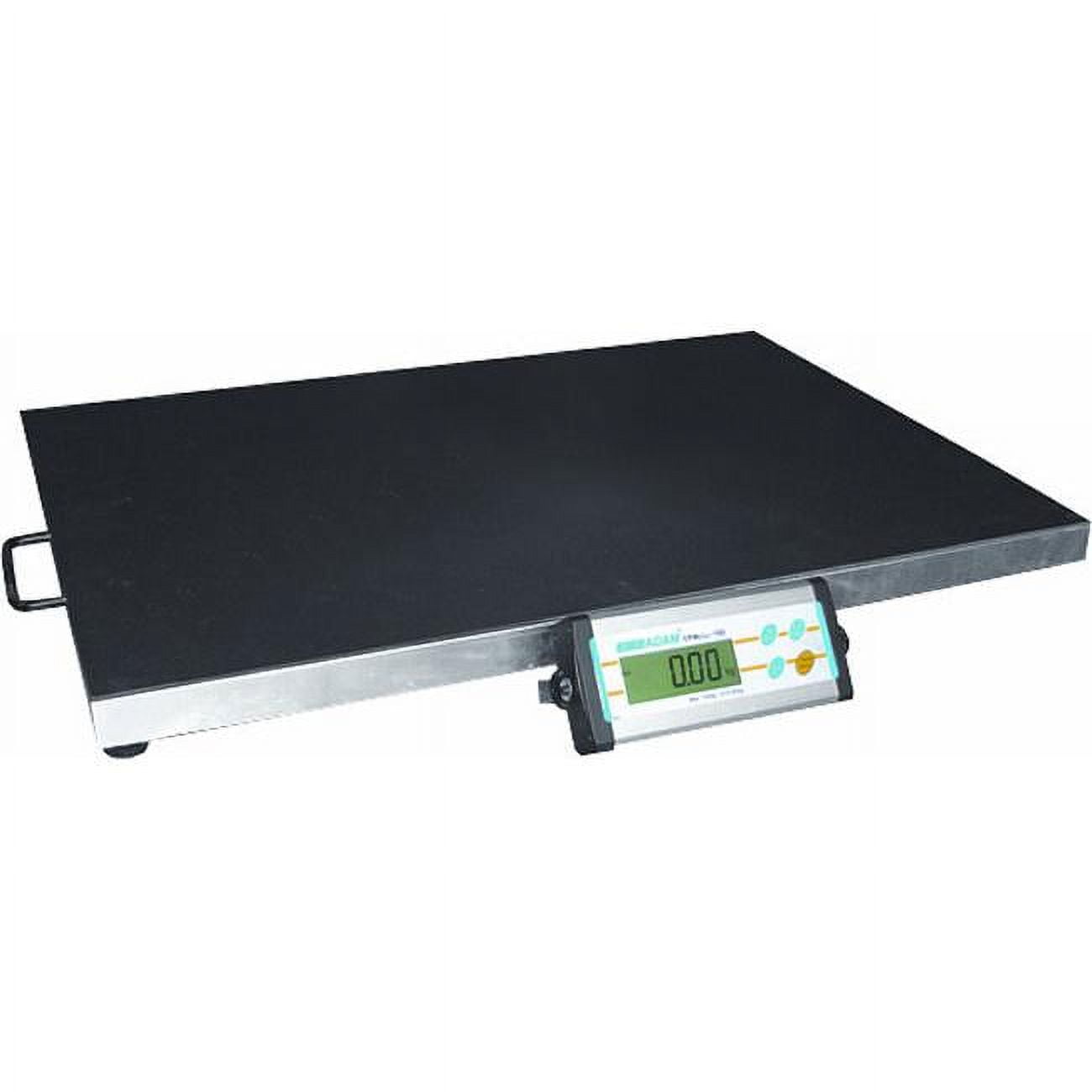 Adam Equipment CPWplus 200L Floor Scale - Walmart.com