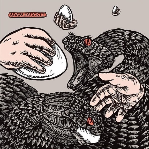 Adam Faucett - It Took The Shape Of A Bird - Music & Performance - CD