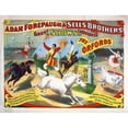 thumbnail image 1 of Adam Forepaugh and Sells Brothers - The Oxfords - William And Ella Oxford Poster Print by Hollywood Photo Archive, 1 of 1