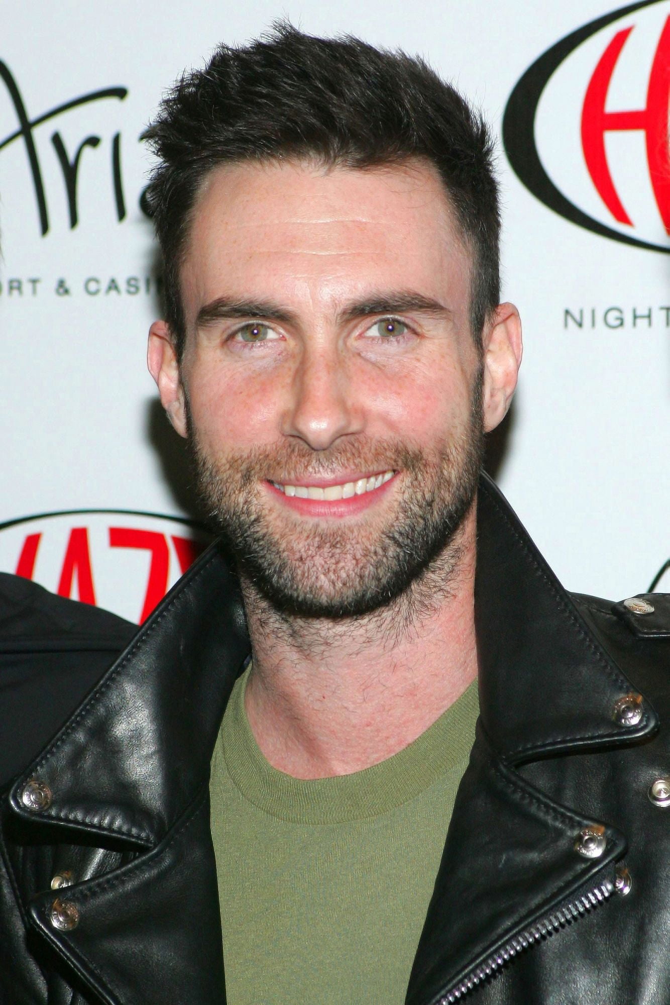 Adam Levine Canvas Art - (16 x 20)