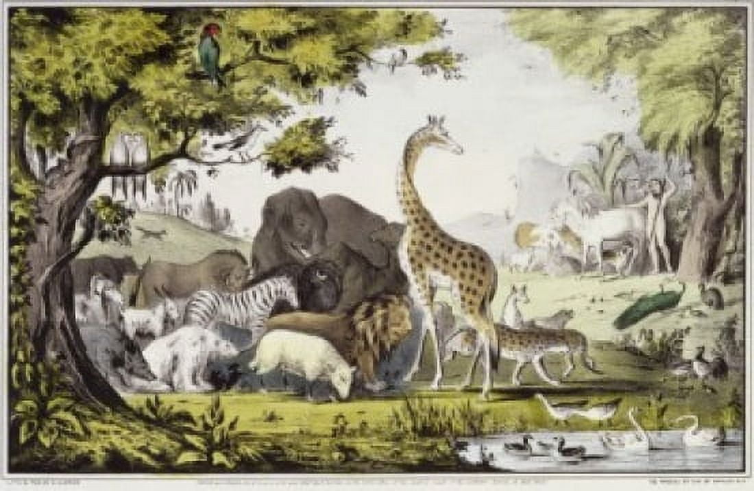 Adam Naming the Creatures 1847 Currier & Ives (Active 1857-1907 American) Lithograph Library of Congress Washington DC Canvas Art - Currier & Ives (18 x 24)