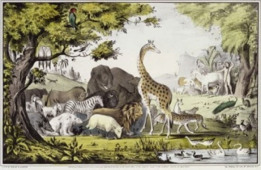 Adam Naming the Creatures 1847 Currier & Ives (Active 1857-1907 American) Lithograph Library of Congress Washington DC Canvas Art - Currier & Ives (24 x 36)