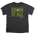 thumbnail image 1 of Adam Ruins Everything Know It All S/S Youth 18/1 T-Shirt Charcoal, 1 of 1