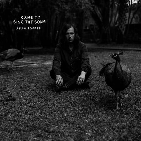 Adam Torres - I Came To Sing The Song - Folk Music - Vinyl [7-Inch]