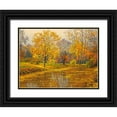 thumbnail image 1 of Adamov, Alexey 32x25 Black Ornate Wood Framed with Double Matting Museum Art Print Titled - River in Golden Autumn II, 1 of 4