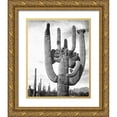 thumbnail image 1 of Adams, Ansel 12x14 Gold Ornate Wood Framed with Double Matting Museum Art Print Titled - View of cactus and surrounding area Saguaros, Saguaro National Monument, Arizona, ca. 1941-1942, 1 of 4