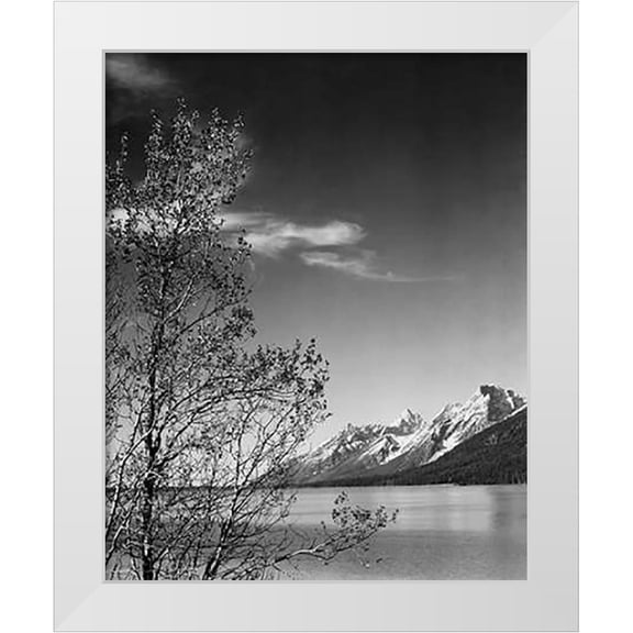 Adams, Ansel 12x14 White Modern Wood Framed Museum Art Print Titled - View of mountains with tree in foreground, Grand Teton National Park, Wyoming, 1941
