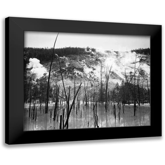 Adams, Ansel 14x12 Black Modern Framed Museum Art Print Titled - Barren trunks in water near steam rising from mountains, Roaring Mountain, Yellowstone National Park
