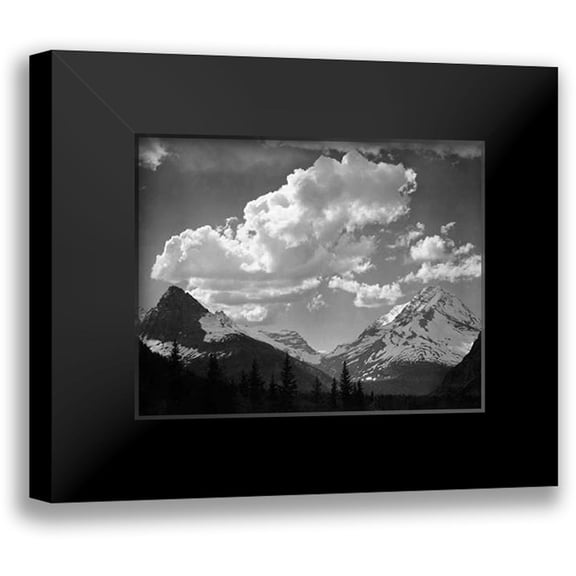 Adams, Ansel 14x12 Black Modern Framed Museum Art Print Titled - Trees in Glacier National Park, Montana - National Parks and Monuments, 1941